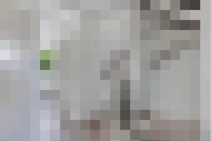 Unia 6 Drachten thumbnail 31
