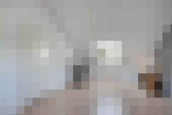 Unia 6 Drachten thumbnail 33