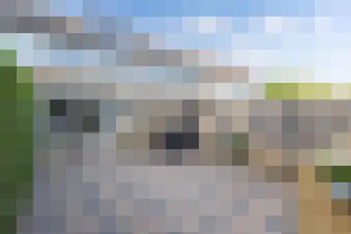 Unia 6 Drachten thumbnail 36