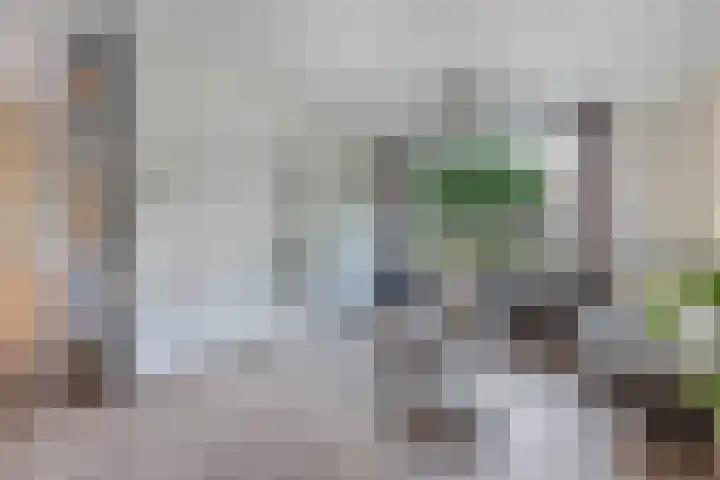 Unia 6 Drachten thumbnail 7