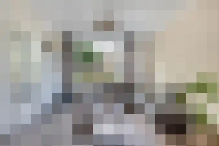 Unia 6 Drachten thumbnail 8
