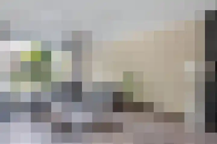 Unia 6 Drachten thumbnail 9