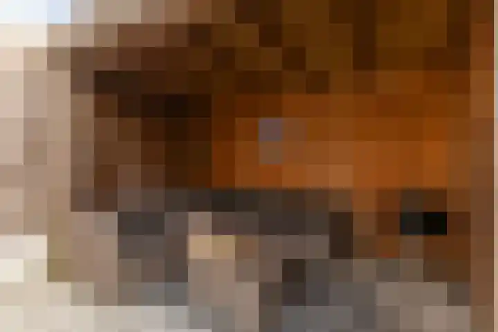 Uniabuert 16 Stiens thumbnail 12