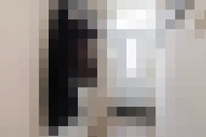 Uniabuert 16 Stiens thumbnail 4