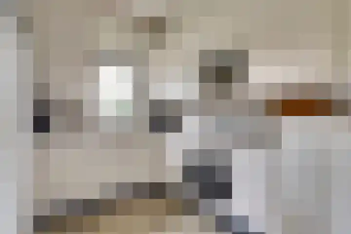 Unio 30 Brouwershaven thumbnail 11