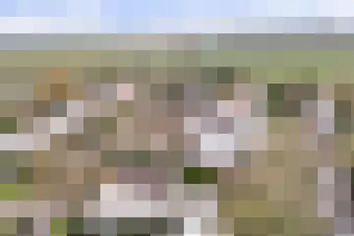 Unio 30 Brouwershaven thumbnail 27