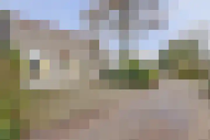 Unio 30 Brouwershaven thumbnail 4