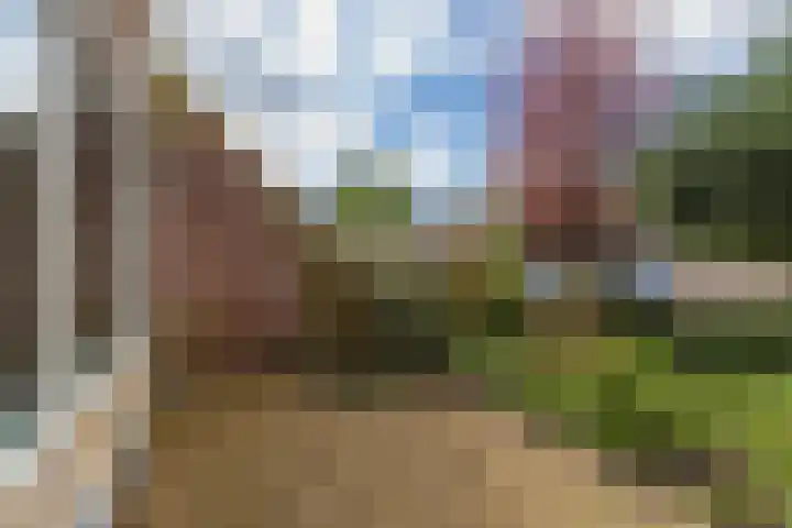 Uranus 14 Katwijk thumbnail 19