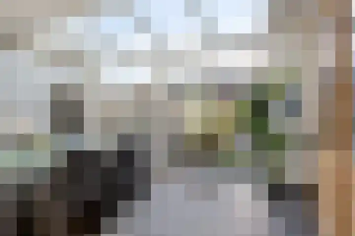 Uranusstraat 19 Asten thumbnail 16