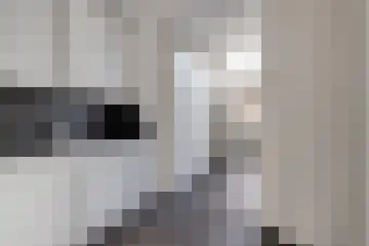 Uranusstraat 19 Asten thumbnail 20
