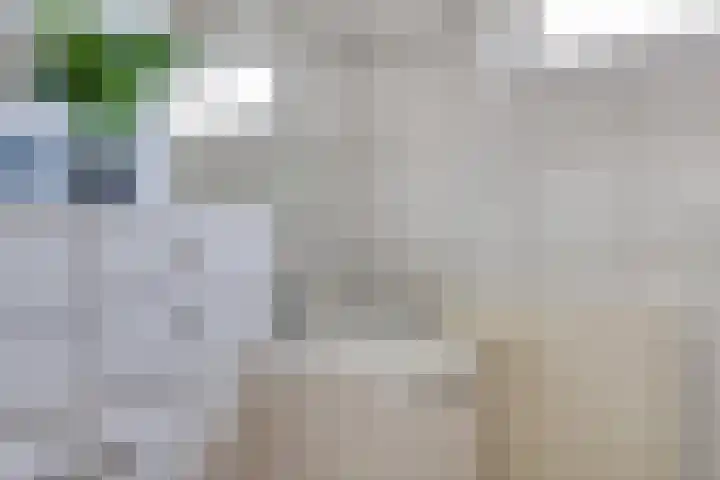 Uranusstraat 19 Asten thumbnail 27