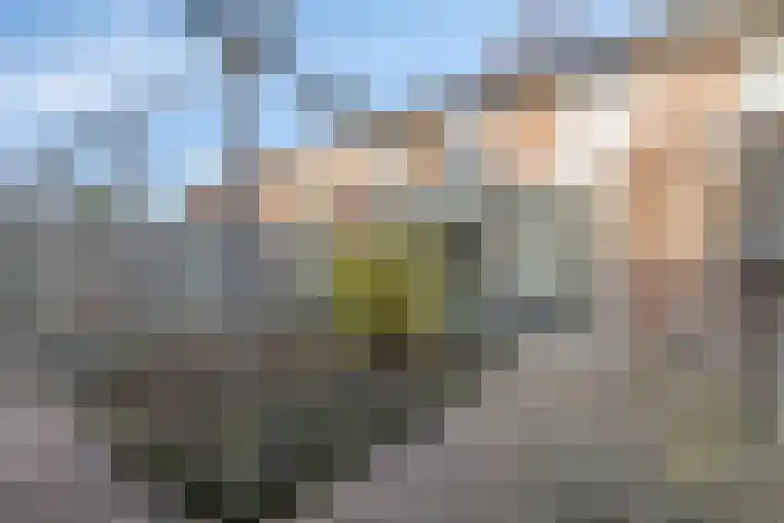 Uranusstraat 19 Asten thumbnail 34