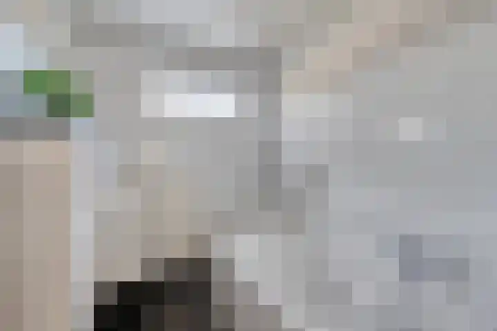 Uranusstraat 19 Asten thumbnail 4