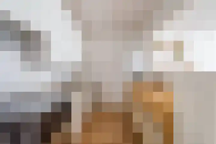 Urkwal 14 Almere thumbnail 18