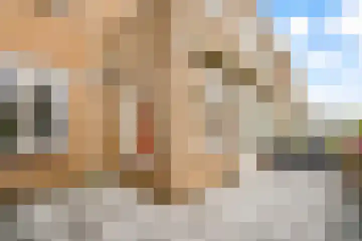 Urkwal 14 Almere thumbnail 31