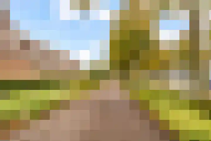 Urkwal 14 Almere thumbnail 46