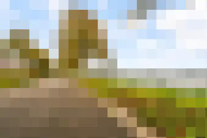 Urkwal 14 Almere thumbnail 47