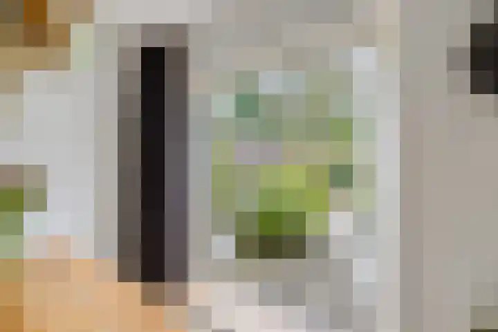 Urlusstraat 18 Utrecht thumbnail 15