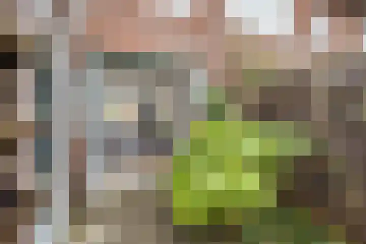 Urlusstraat 18 Utrecht thumbnail 20