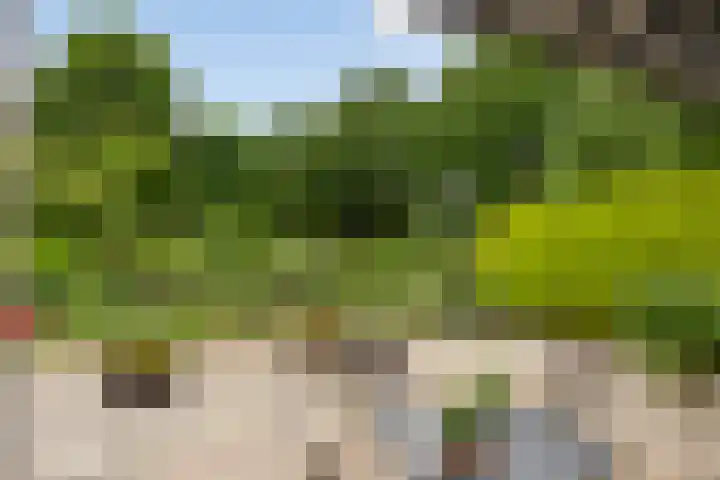 Urnenveldweg 3 Wijchen thumbnail 32