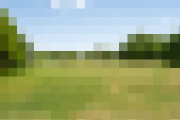 Urnenveldweg 3 Wijchen thumbnail 40