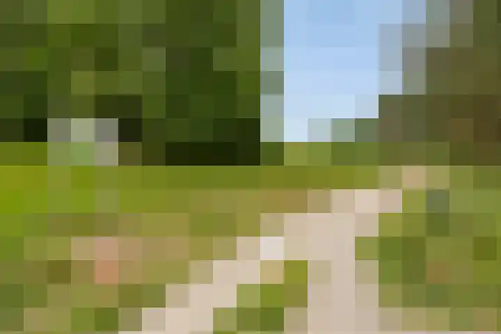 Urnenveldweg 3 Wijchen thumbnail 42