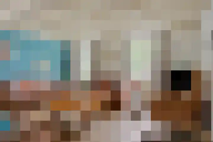 Urnenveldweg 3 Wijchen thumbnail 7