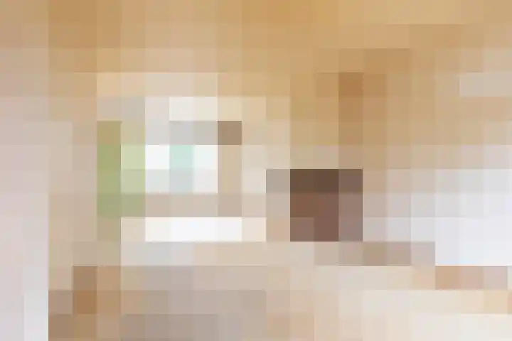 Ursulinenstraat 10 Eijsden thumbnail 5