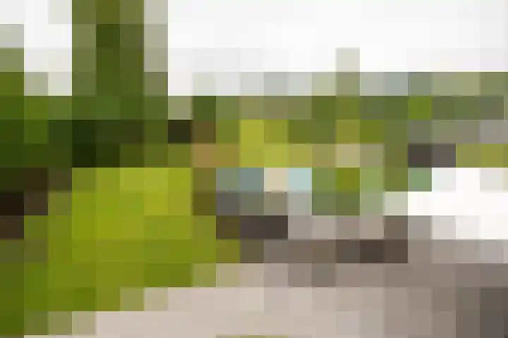 Ursulineweg 7 Leusden thumbnail 37