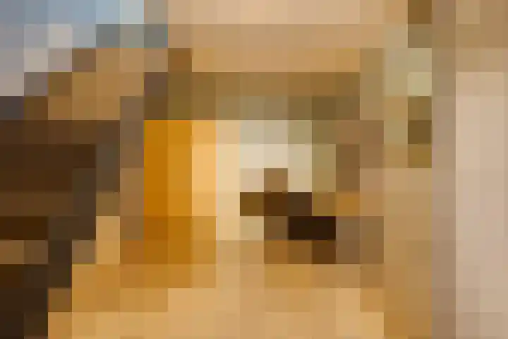 Ursulineweg 7 Leusden thumbnail 39