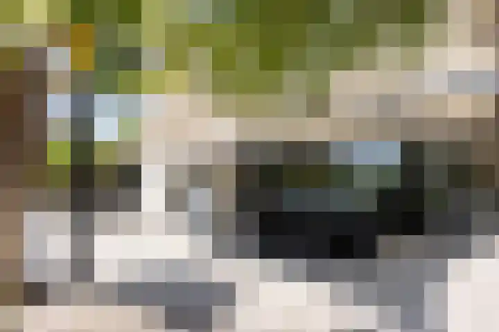 Ursulineweg 7 Leusden thumbnail 59