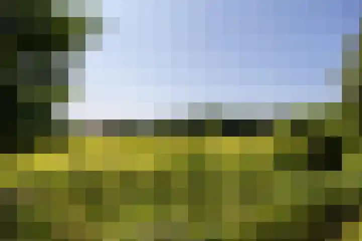 Ursulineweg 7 Leusden thumbnail 80