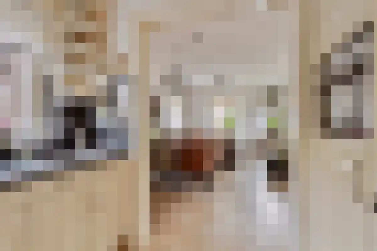 Ussenstraat 53 Oss thumbnail 13