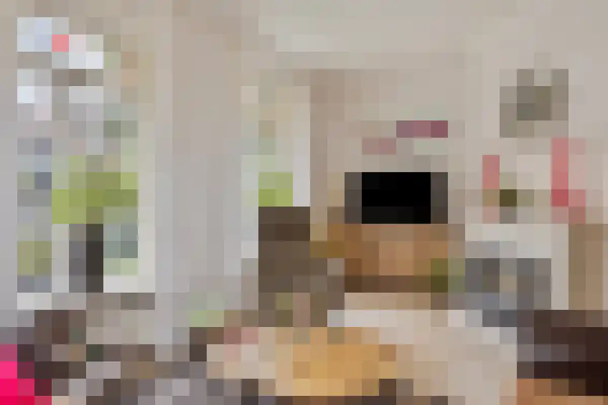 Ussenstraat 53 Oss thumbnail 15