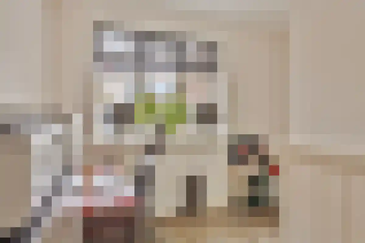Ussenstraat 53 Oss thumbnail 23