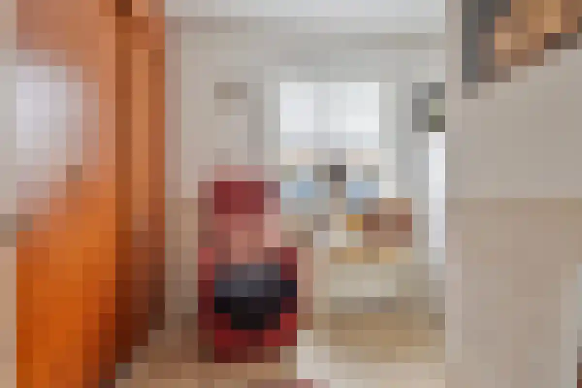 Ussenstraat 53 Oss thumbnail 24