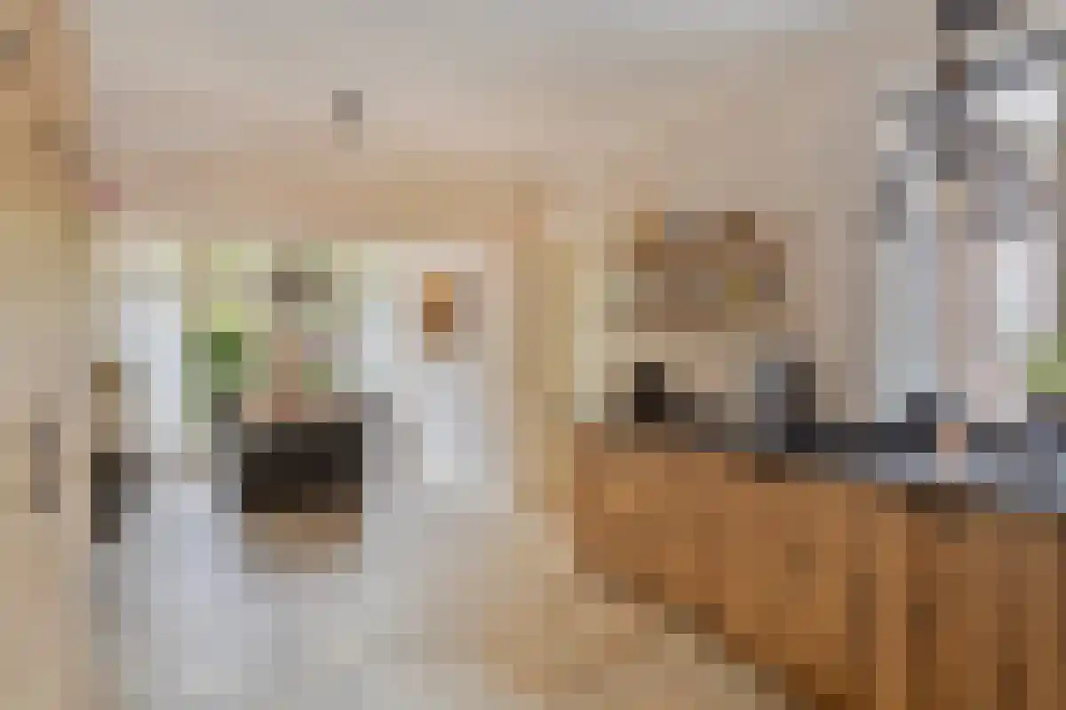 Ussenstraat 53 Oss thumbnail 4