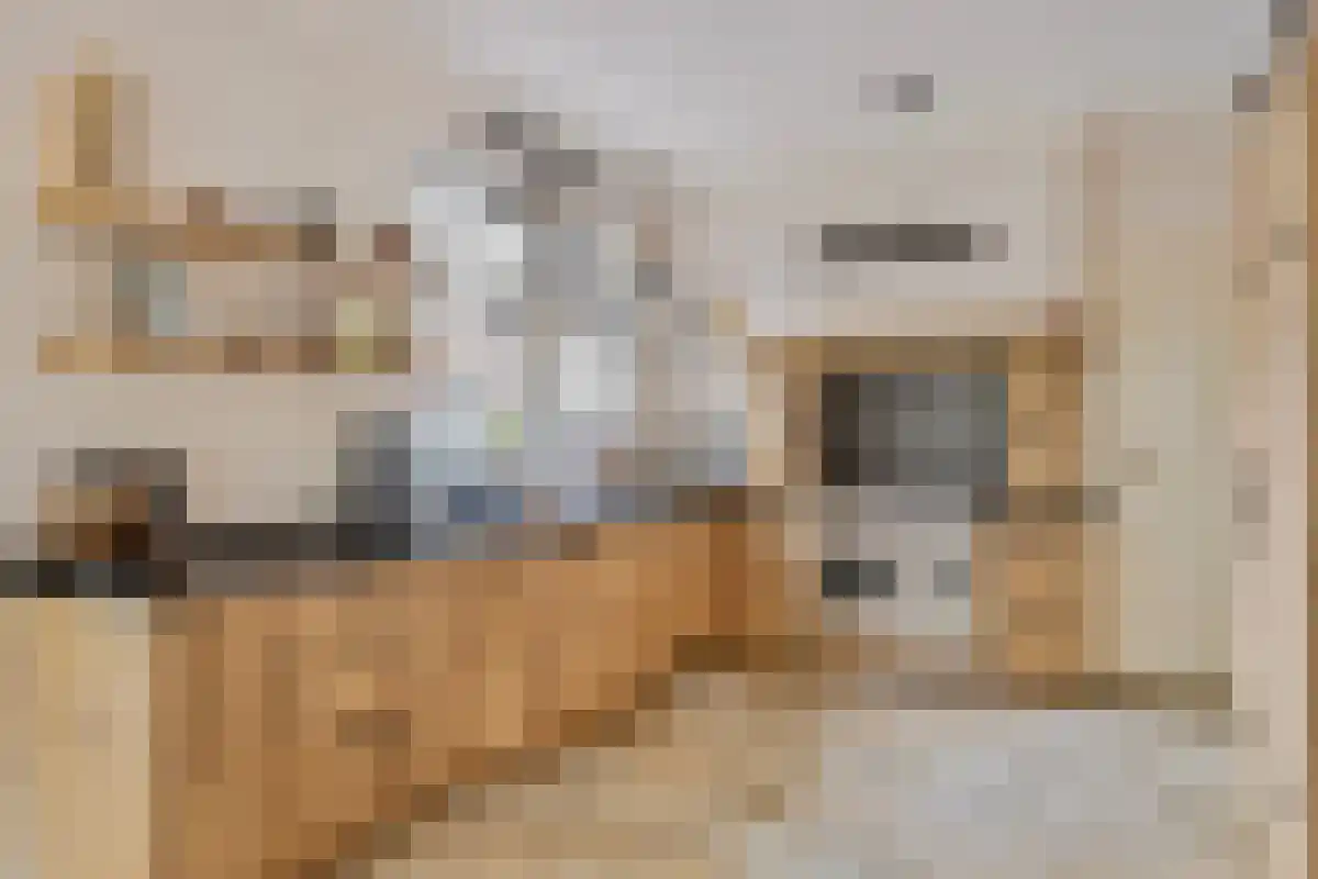Ussenstraat 53 Oss thumbnail 5