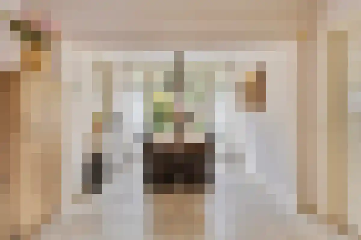 Ussenstraat 53 Oss thumbnail 7