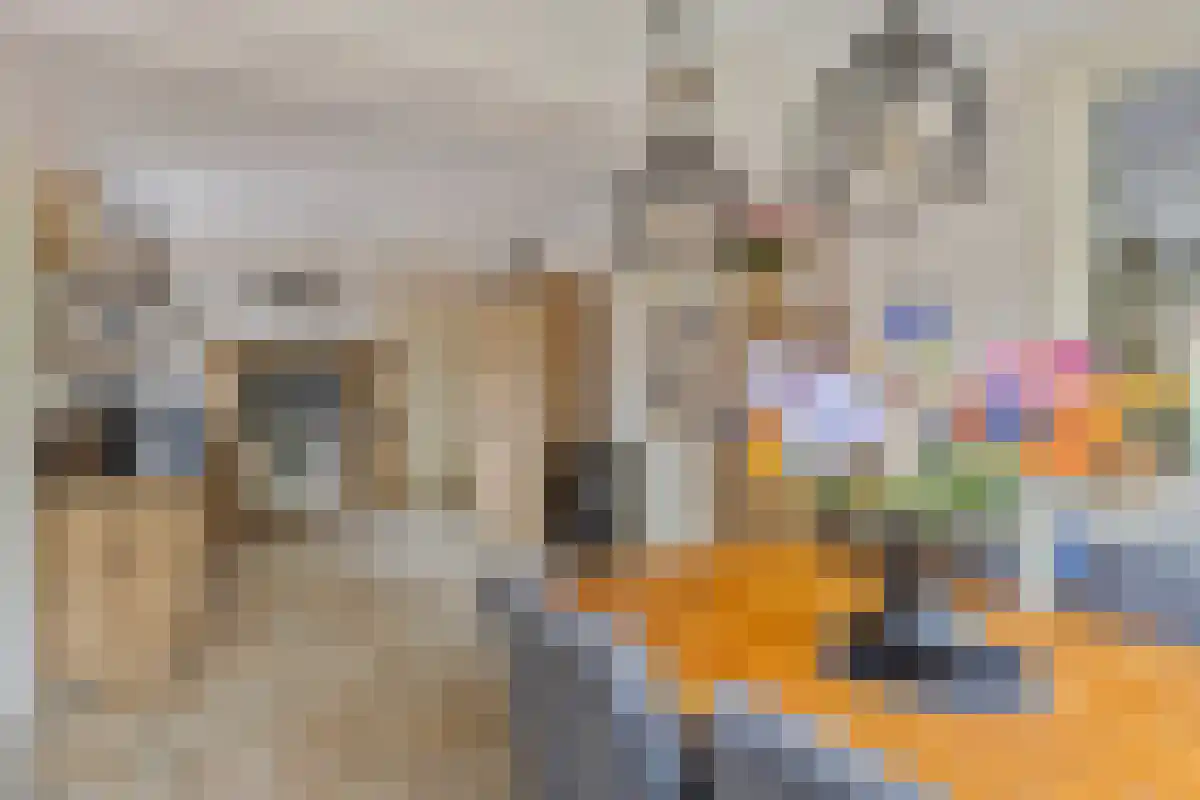 Ussenstraat 53 Oss thumbnail 8
