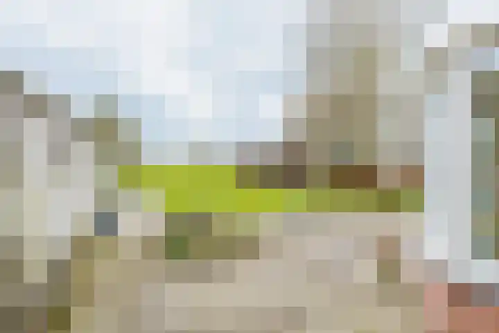 Uthôf 11 Siegerswoude thumbnail 14