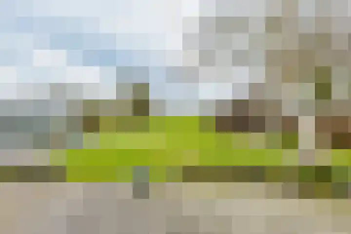 Uthôf 11 Siegerswoude thumbnail 15