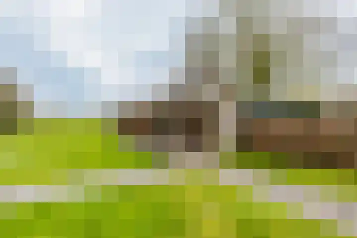 Uthôf 11 Siegerswoude thumbnail 16
