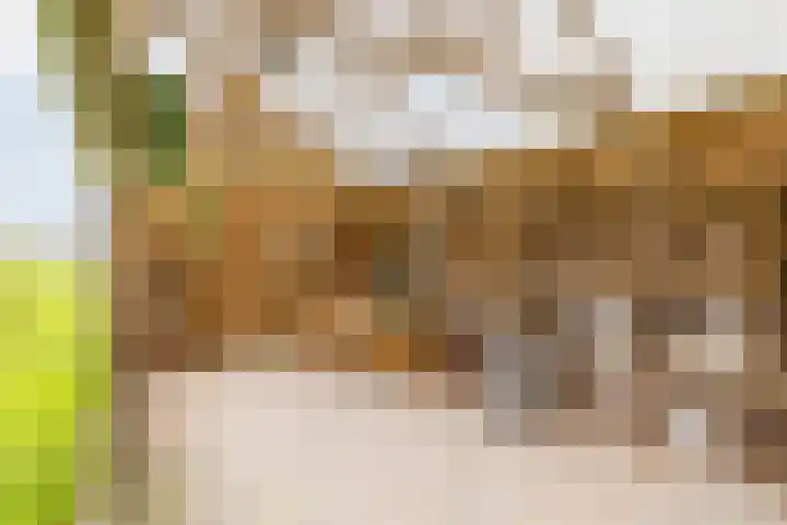 Uthôf 11 Siegerswoude thumbnail 17