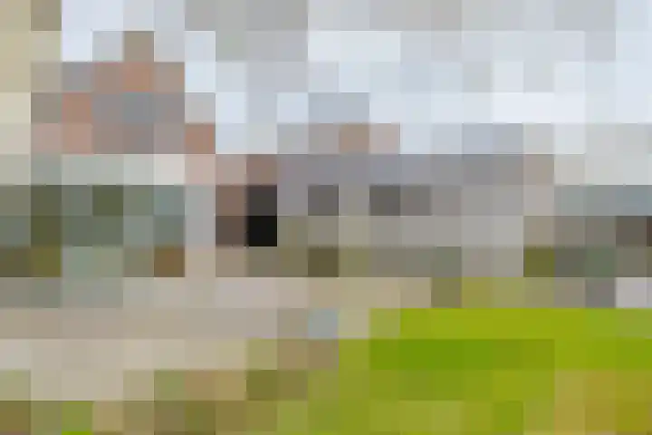 Uthôf 11 Siegerswoude thumbnail 18