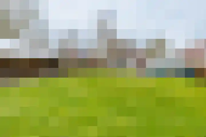 Uthôf 11 Siegerswoude thumbnail 19