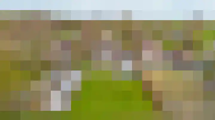 Uthôf 11 Siegerswoude thumbnail 20
