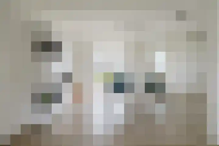 Uthôf 11 Siegerswoude thumbnail 37