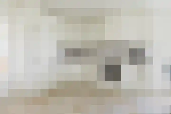 Uthôf 11 Siegerswoude thumbnail 4