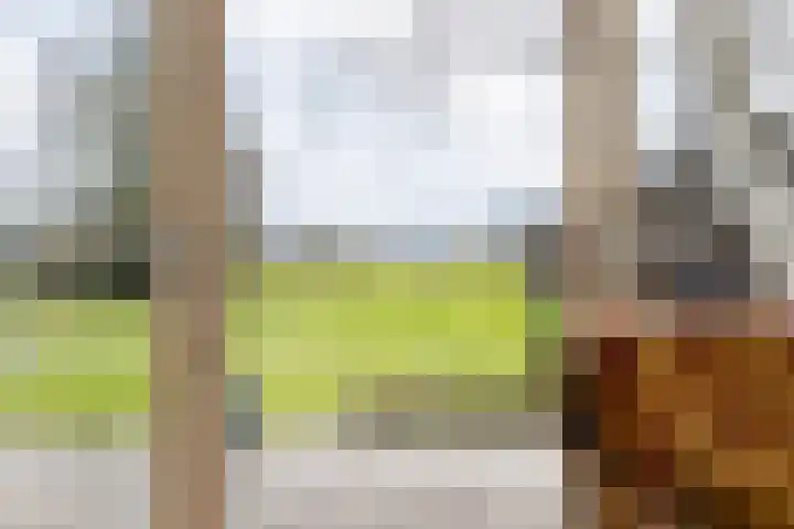 Uthôf 11 Siegerswoude thumbnail 42